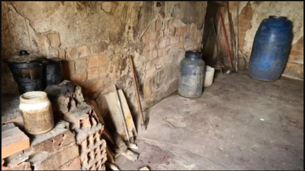 Mais de 2,8 mil pessoas deixam trabalho análogo à escravidão