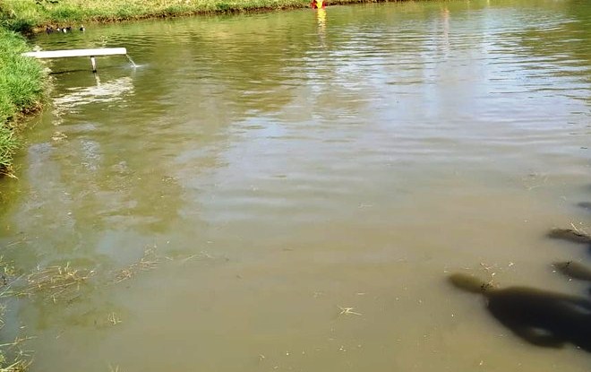 Homem morre afogado em Maniaçu, zona rural de Caetité 