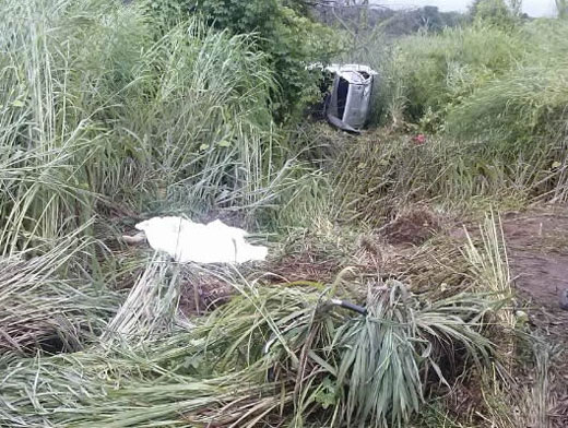 Pai e filha morrem atropelados na BR 135 em Riachão das Neves