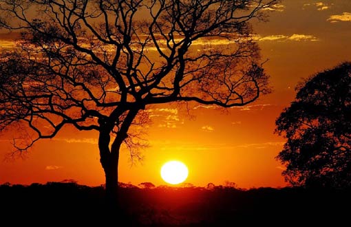  Horário de verão termina no próximo domingo (22)