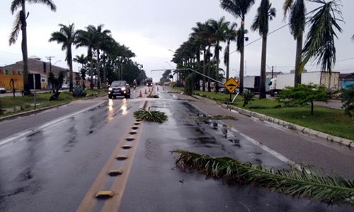 Temporal derruba árvores, postes e destelha casas em Planalto