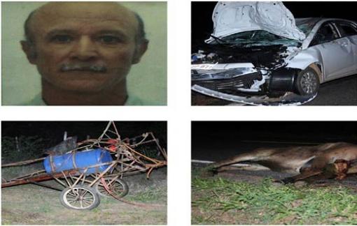 Guanambi: colisão na BR - 030 arranca cabeça de lavrador