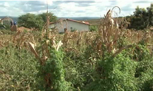 Conquista: povoados sofrem com a estiagem prolongada