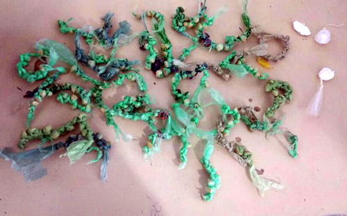 Guanambi: Polícia Militar apreende droga no Bairro Taboinha 