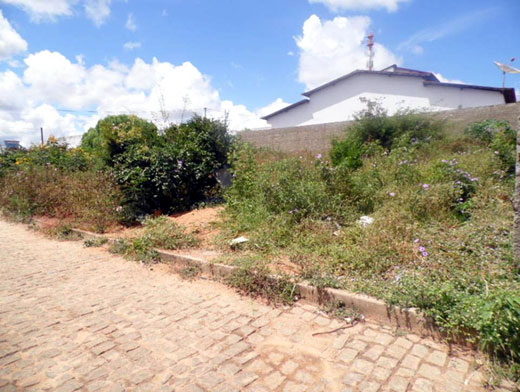 Caetité: Terrenos baldios ainda atormentam a vida dos moradores do Santa Terezinha