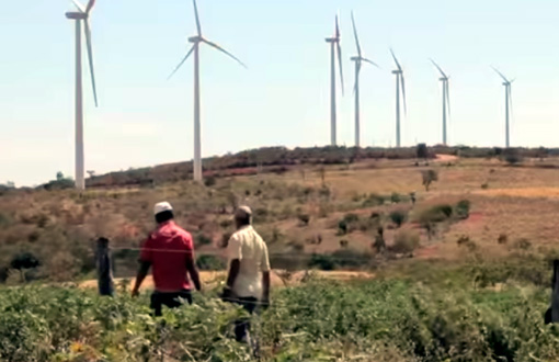 Grupo produtivo de Poções cresce com o apoio da Renova