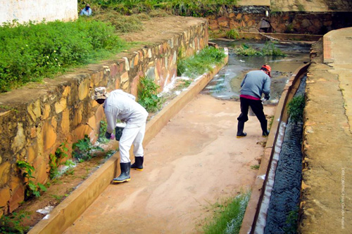 Prefeitura de Caetité inicia ações de combate a pernilongos 