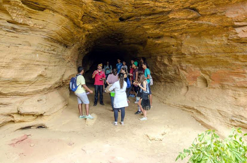 Alpha Vestibular e Cursos realiza aula de campo