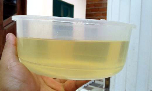 Moradores de Livramento dizem que água fornecida pela Embasa é de péssima qualidade