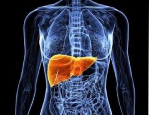 SUS oferecerá novo tratamento para Hepatite C