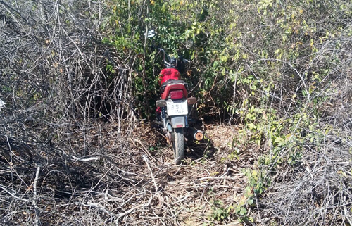 Caetité: Polícia Militar recupera moto furtada no Bairro Santa Terezinha