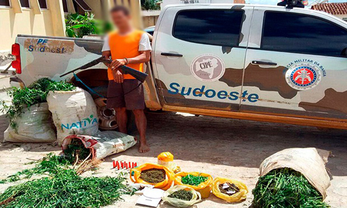 Sudoeste baiano: Polícia encontra plantação com 300 pés de maconha 