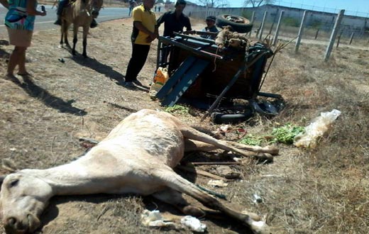 Botuporã: carro atinge charrete e deixa homem em estado grave