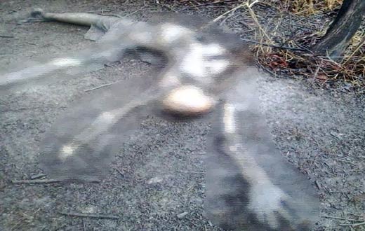 Bom Jesus da Lapa: PM encontra corpo de jovem desaparecido