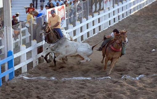 Bahia: vaquejada se torna Patrimônio Cultural no Estado