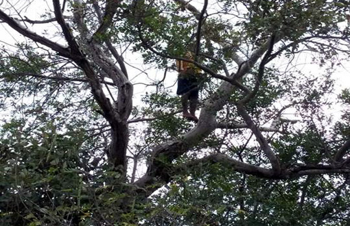 Tanque Novo: homem com depressão comete suicídio por enforcamento