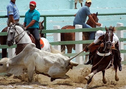 Temer sanciona lei que eleva rodeio e vaquejada à condição de patrimônio cultural